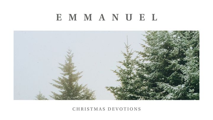The Wonder of Christmas: 4 Day Devotional