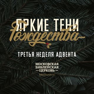 Яркие тени Рождества. часть 3: радость