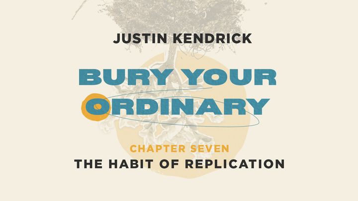 Bury Your Ordinary Habit Seven