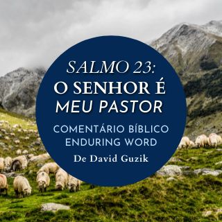 Salmo 23 – O Senhor é Meu Pastor, The Bible App