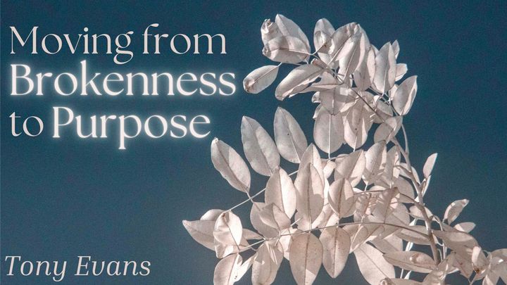 Moving From Brokenness to Purpose