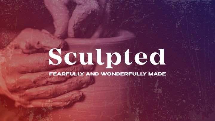 Sculpted, Fearfully and Wonderfully Made