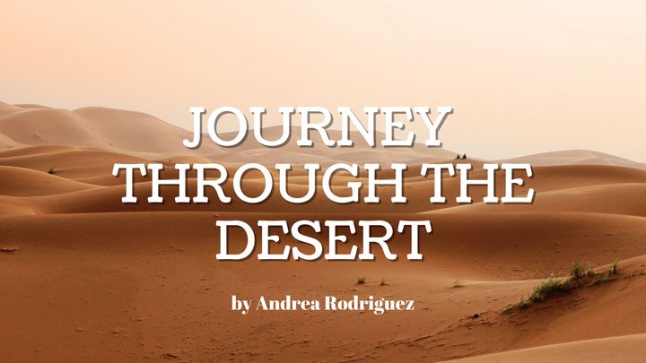 Journey Through the Desert