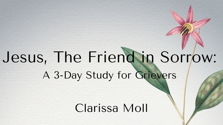 Jesus, the Friend in Sorrow: A 3-Day Study for Grievers