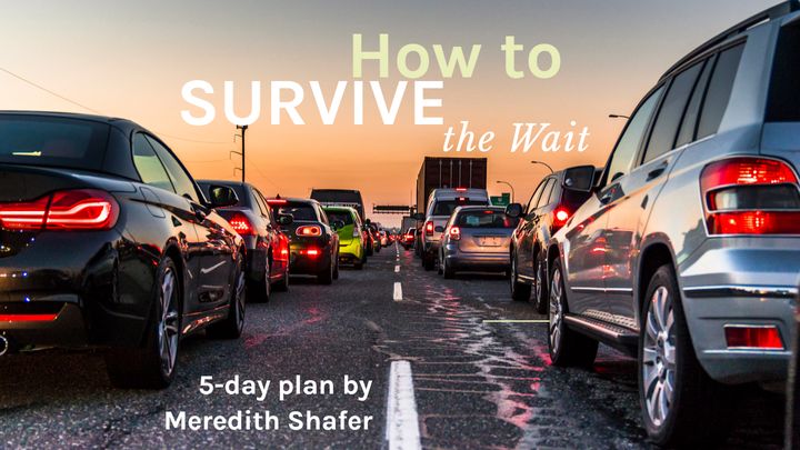 How to Survive the Wait
