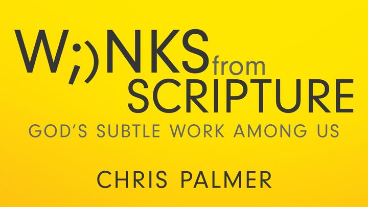 Winks From Scripture: God’s Subtle Work Among Us