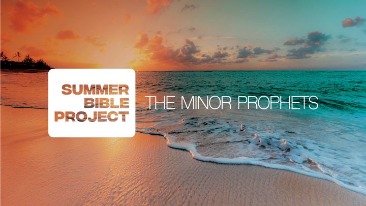 Summer Bible Project- the Minor Prophets