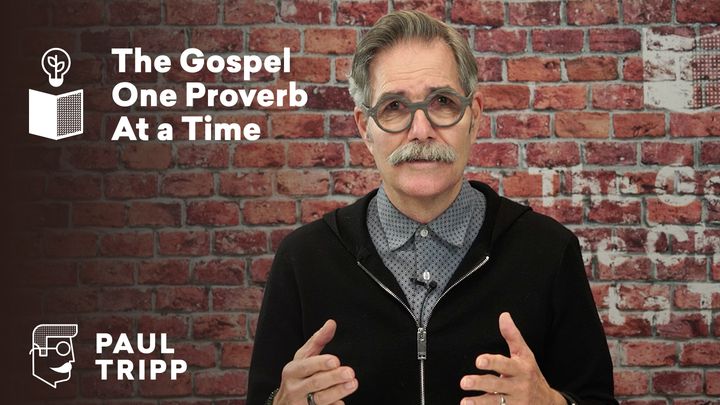 Proverbs Bible Study With Paul David Tripp