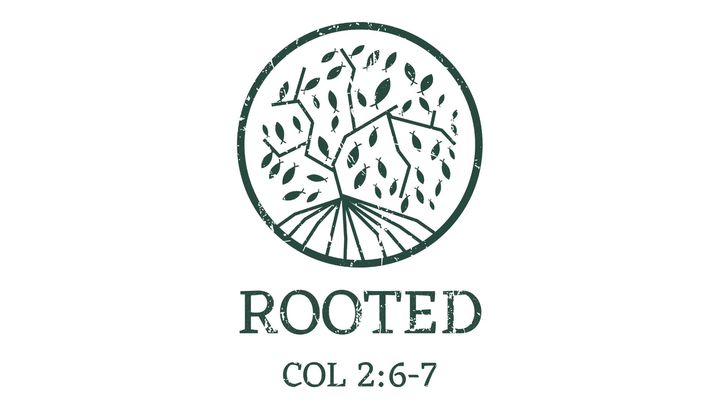 Rooted: Developing a Faith That Will Last