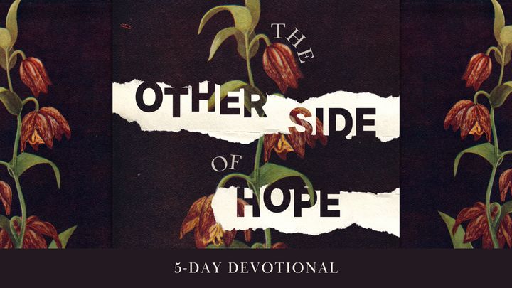 The Other Side of Hope: Breaking the Cycle of Cynicism