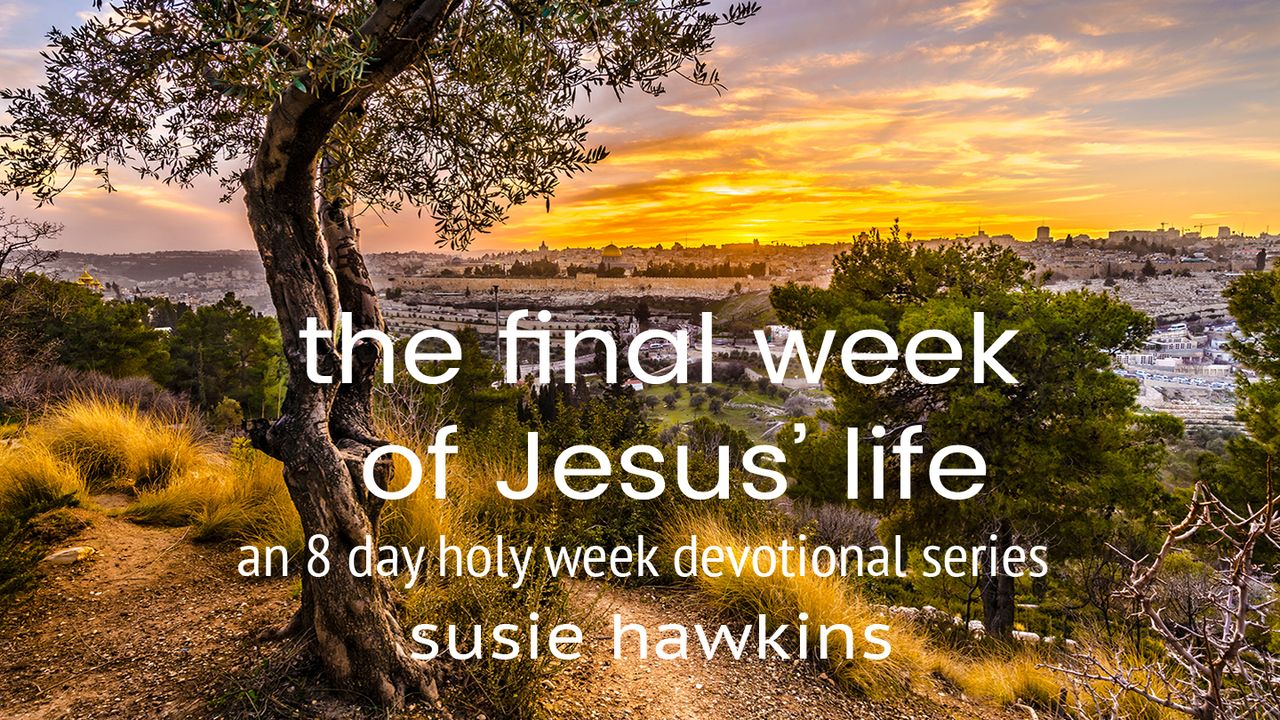 The final week of jesus life an 8 day holy week devotional series