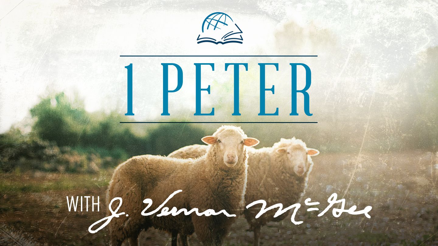 1 Peter 5 | TPT Bible | YouVersion