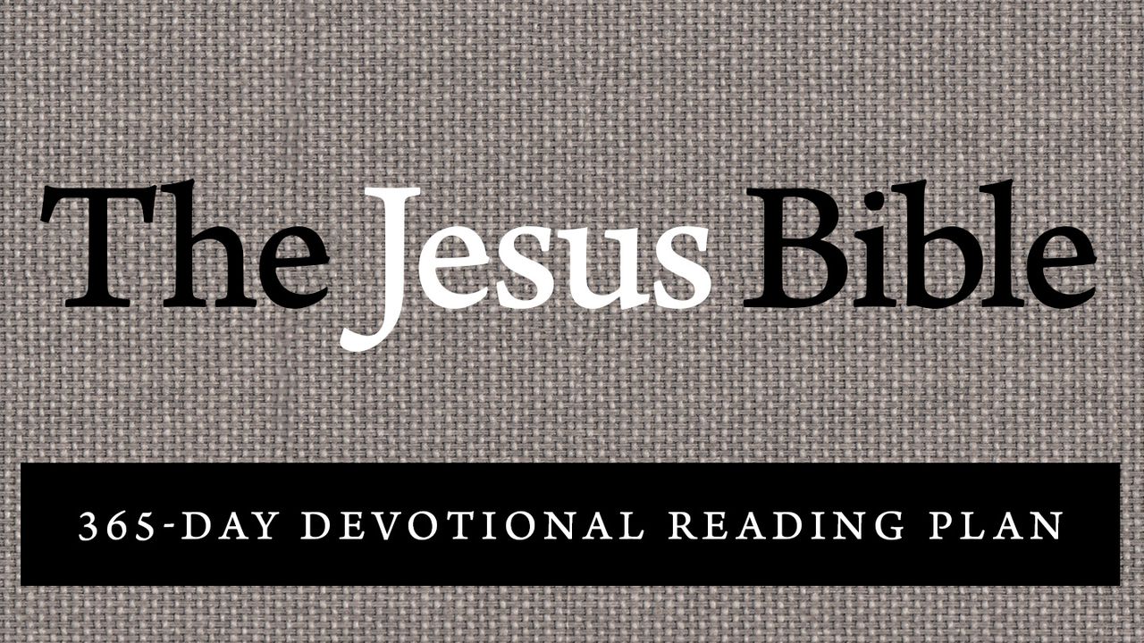 Is The Whole Bible Really About Jesus? More To Be