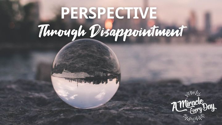 Perspective Through Disappointment