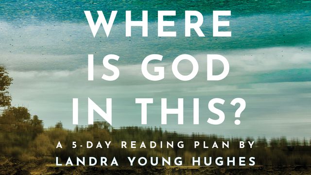 Where Is God In This Devotional Reading Plan Youversion Bible 