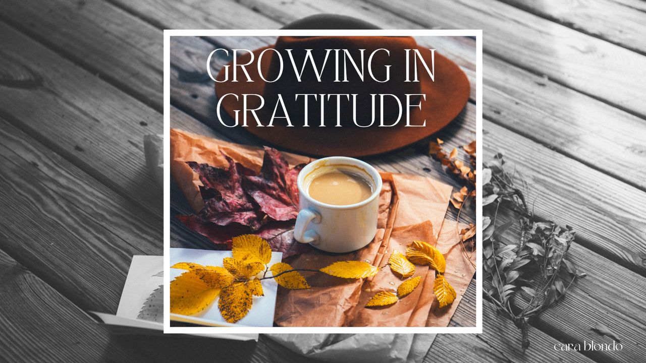 Growing In Gratitude