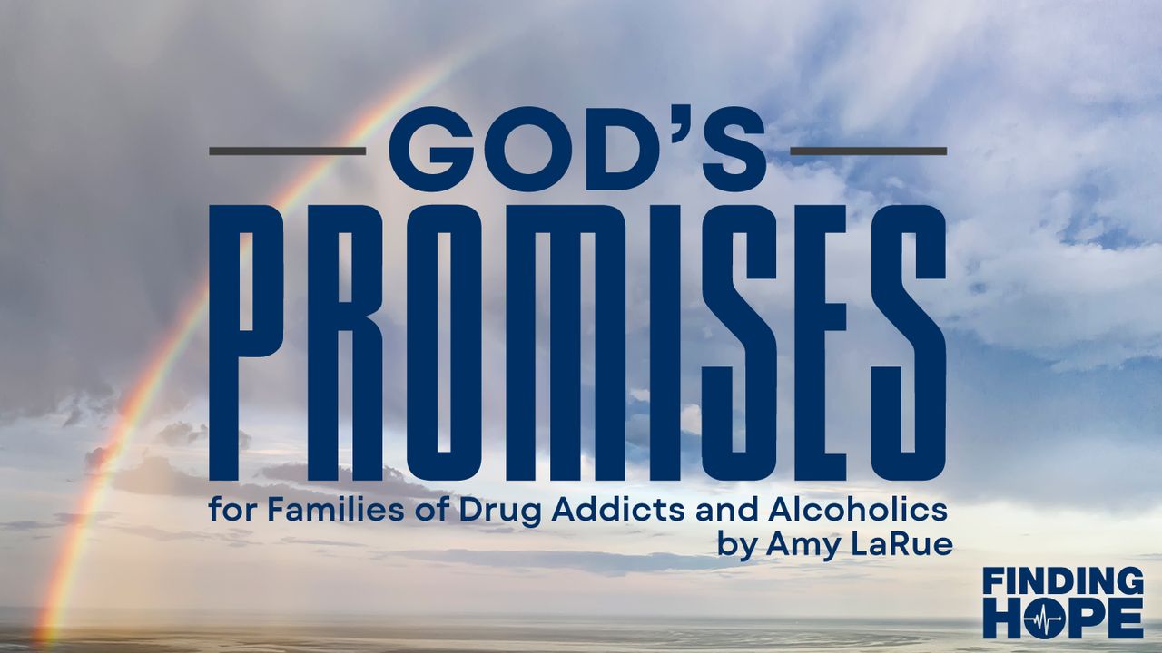 god-s-promises-for-families-of-drug-addicts-and-alcoholics