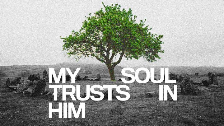 My Soul Trusts in Him