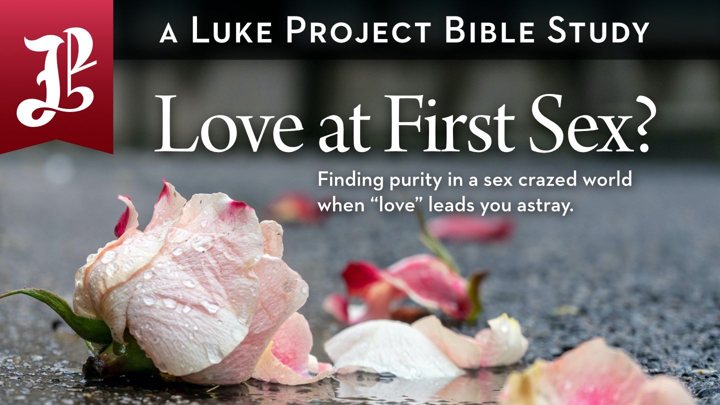 Love at First Sex? Finding Purity in a Sex-Crazed World The Bible App Bible picture