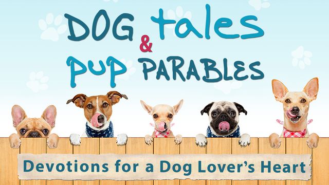 Dogs tales