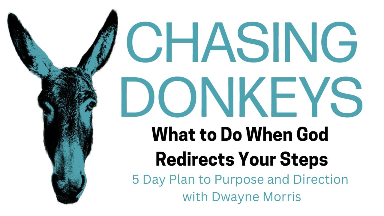 Chasing Donkeys: What To Do When God Redirects Your Steps