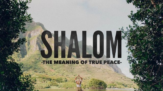 The True Meaning of Shalom.docx - The True Meaning of Shalom Teachings  /BYDOUG HERSHEY Many are familiar with the Hebrew word shalom or peace. The