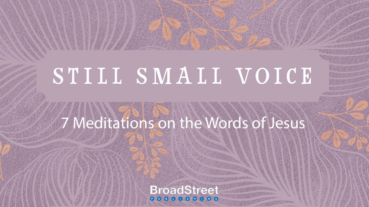 Still Small Voice 7 Day Meditations On The Words Of Jesus Day 2 Of 7 0474