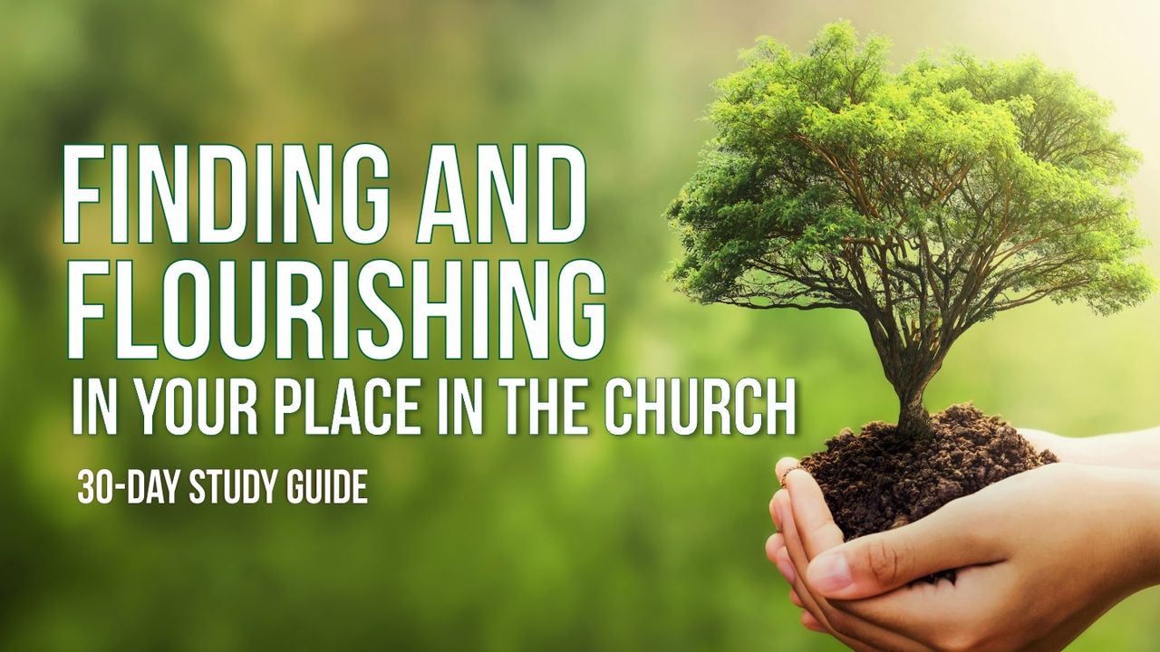 finding-and-flourishing-in-your-place-in-the-church