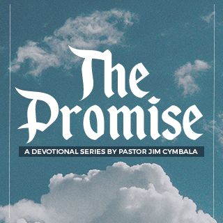 The Promise