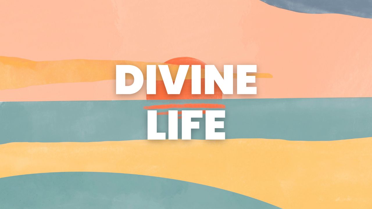 Divine Life The Bible App