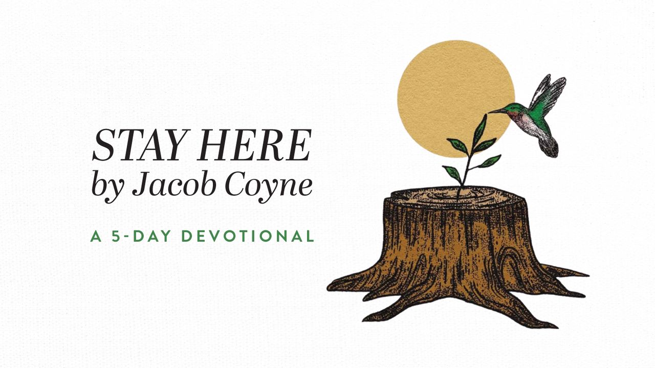 STAY DEFINITION BIBLE visual data 4
