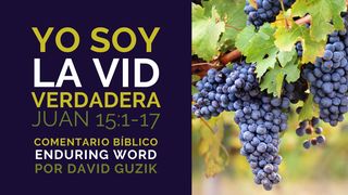 Yo Soy La Vid Verdadera: Comentario Bíblico Sobre Juan 15:1-17 ...