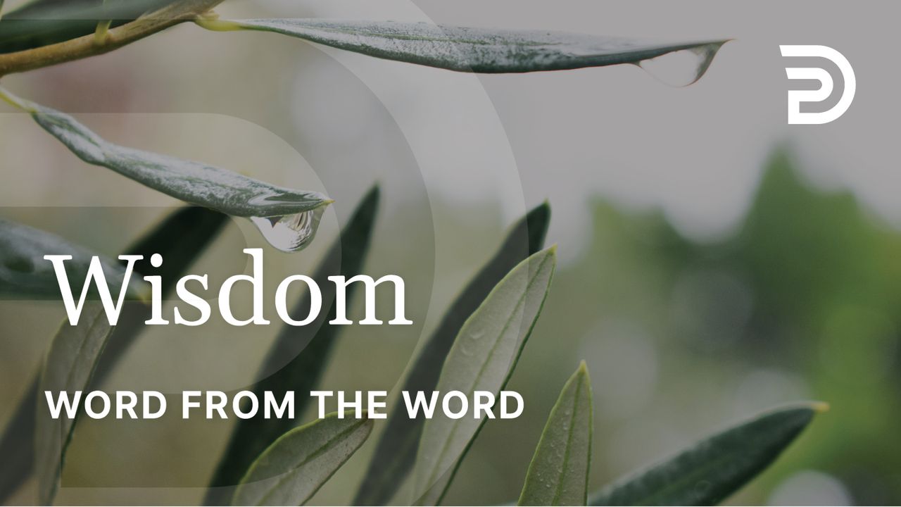 A Word From The Word Wisdom The Bible App Bible a-word-from-the-word-wisdom-the-bible-app-bible