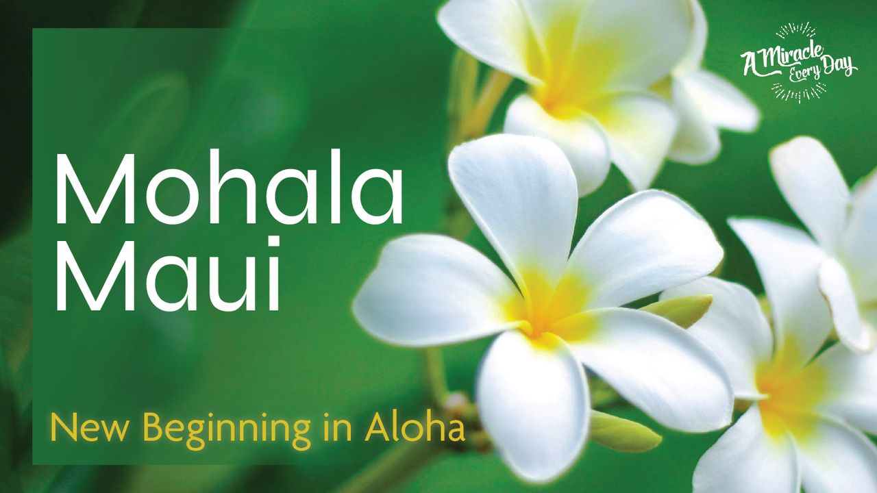 Mohala Maui (Petals Unfold on Maui)