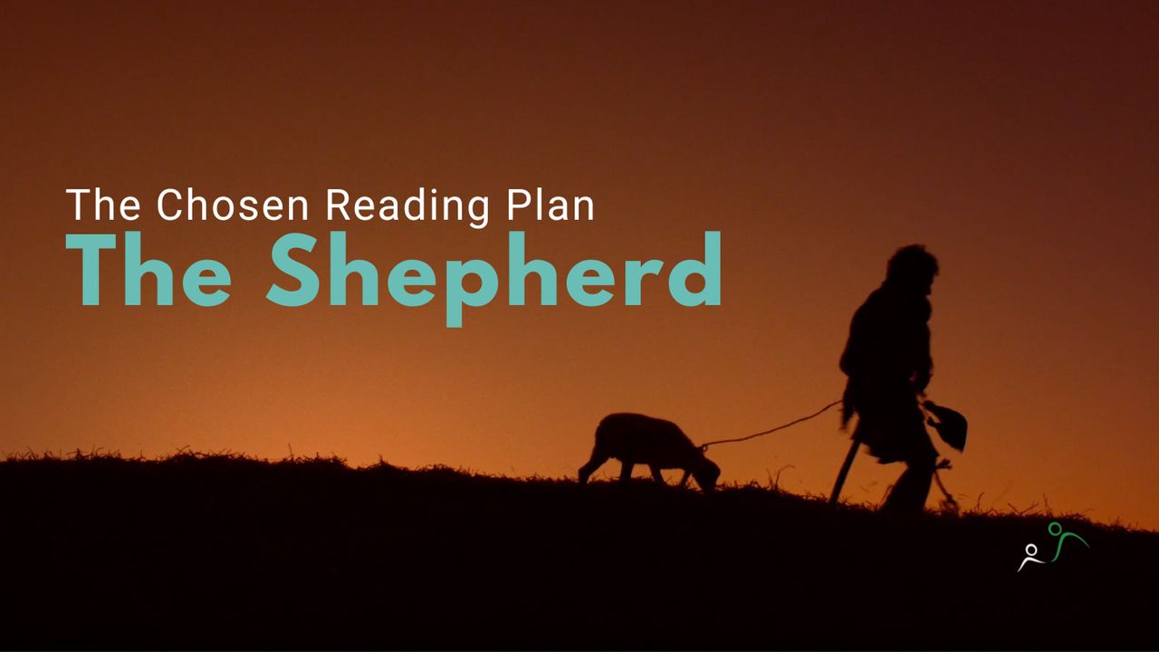 The Shepherd (S1-E9)