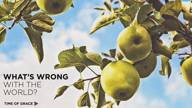 what-s-wrong-with-the-world-devotional-reading-plan-youversion-bible