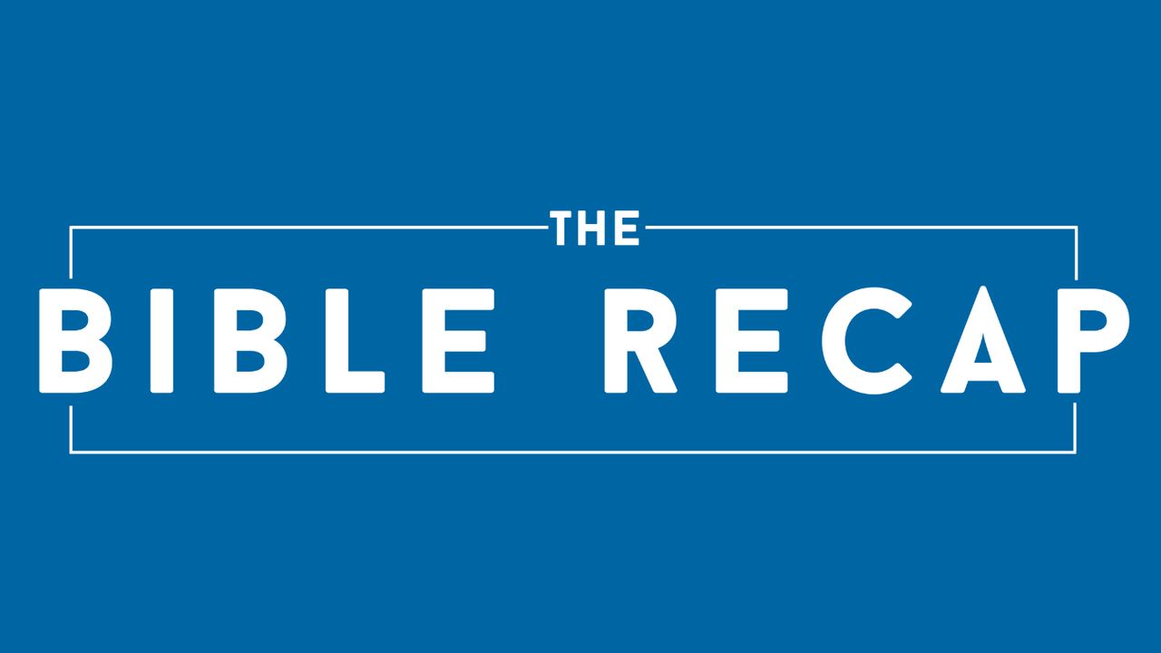 The Bible Recap With Tara-Leigh Cobble - Day 225 of 365