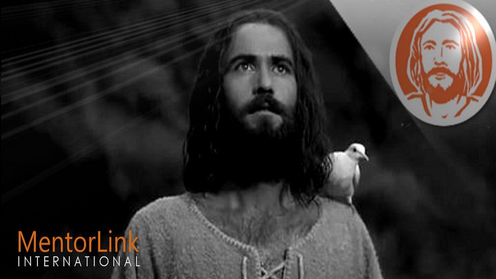 8 Days With Jesus: Who Is Jesus?