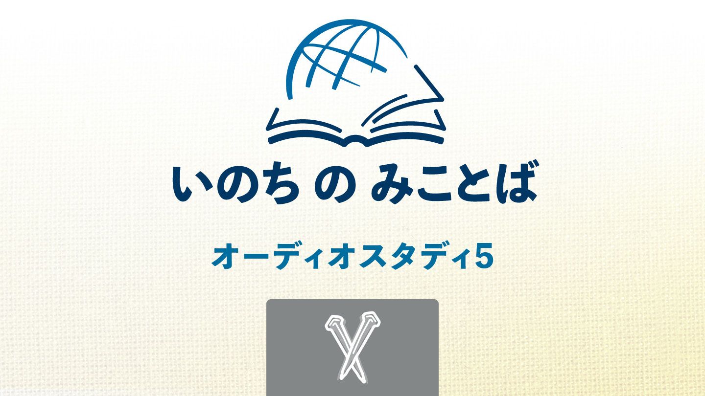 マルコによる福音書 12 | 新共同訳 聖書 | YouVersion