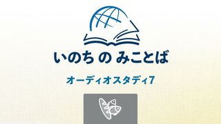 シルク80はルカ10 320x180.jpg
