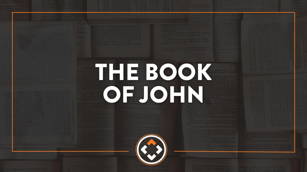 who wrote the book of john in the bible