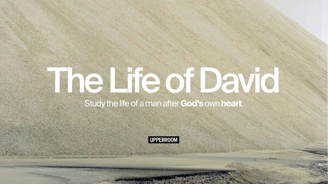 The Life of David - Bible App