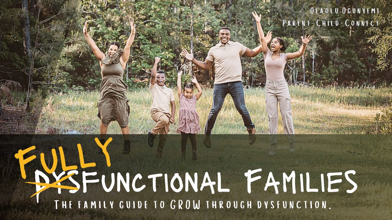 Fully Functional Family: The Family Guide to GROW Through Dysfunction.
