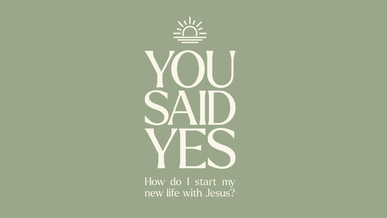 You Said Yes reading plan cover art on YouVersion