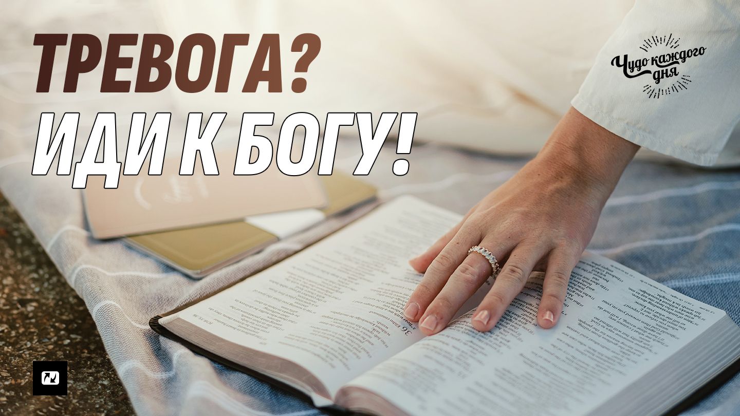 Ауыздағы Шимейлу бейне