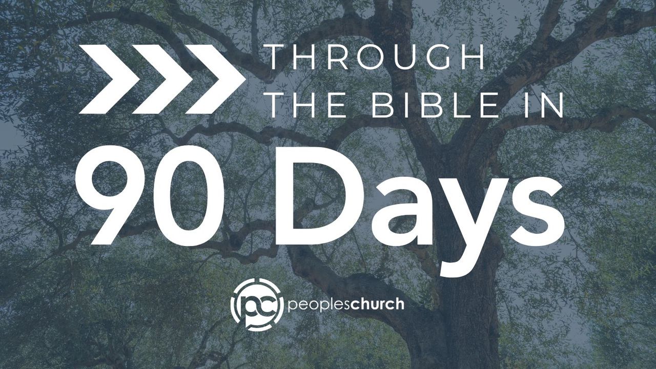 through-the-bible-in-90-days