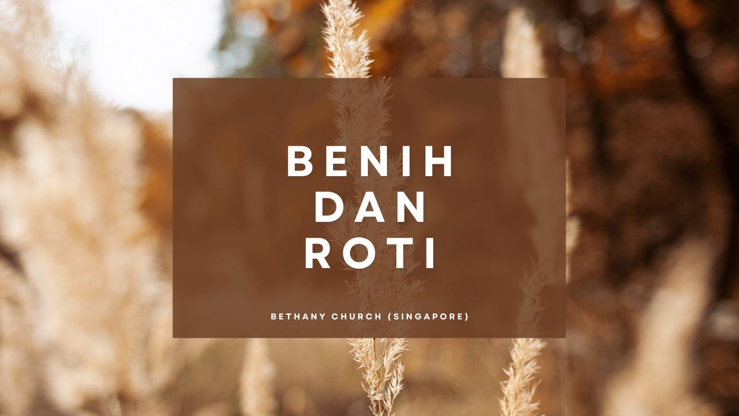 Lara Croft bilan porno multfilm