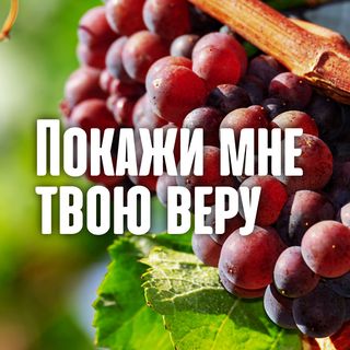 Покажи мне твою ВЕРУ. Размышления над посланием Иакова