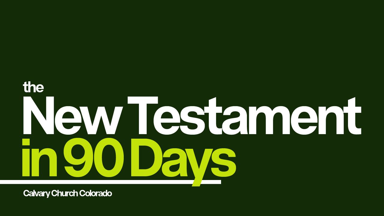 The New Testament in 90 Days Reading Plan - Bible App