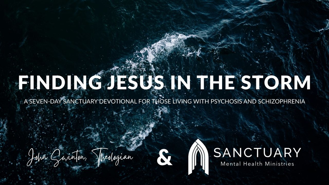 Finding Jesus in the Storm: A Devotional for Those Living With ...
